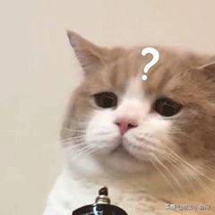 泉州女孩子的工作,泉州年轻人适合做什么工作