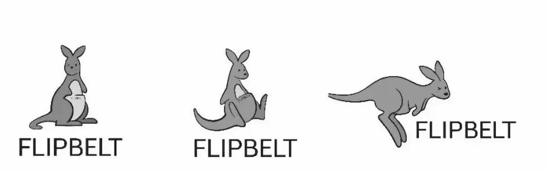 flipbelt飞比特经典款跑步运动腰带,flipbelt飞比特运动水壶2.0款
