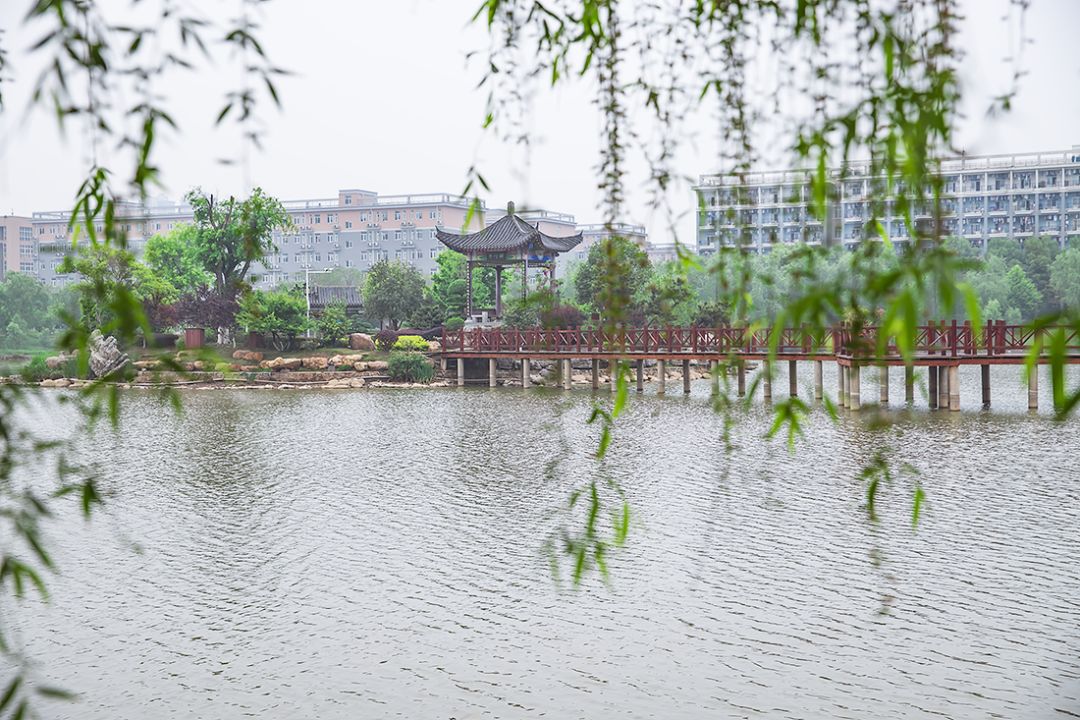 武科大算什么档次,武科大属于什么水平