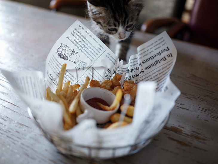 富士gfx50s2代中画幅相机值得买吗,富士中画幅相机gfx50sii测评