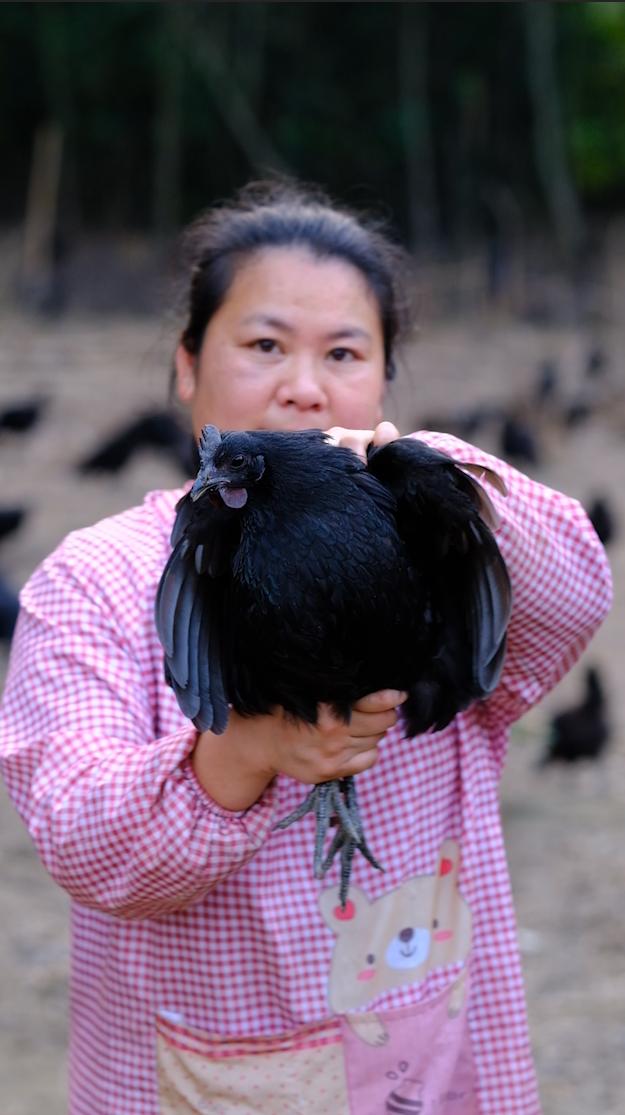 全身皮毛都是黑色的,长得像鸟一样的鸡,一年能卖8000多只