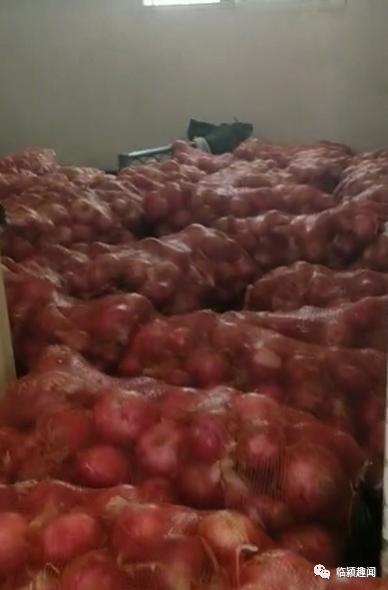 蔬菜滞销小伙带千万去收购,20万斤包菜滞销男子买1万斤