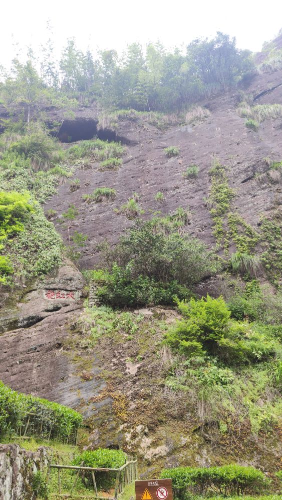 武夷山两天一夜要带什么去,旅游团武夷山两天一夜游99元