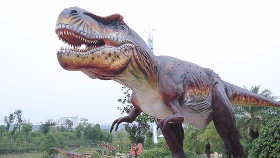 东南花都花博园景观,东南花都花博园