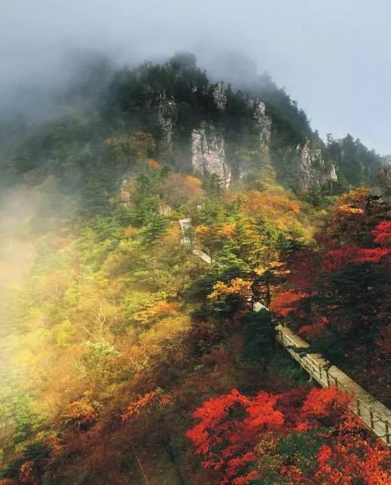 西安自驾秦岭秋色最好的地方,西安自驾一日游的绝佳去处秦岭