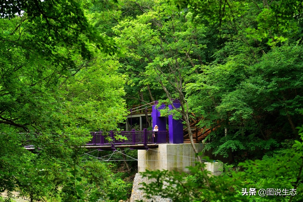 农村大山发现一尊山体大佛,本溪大峡谷天然石佛