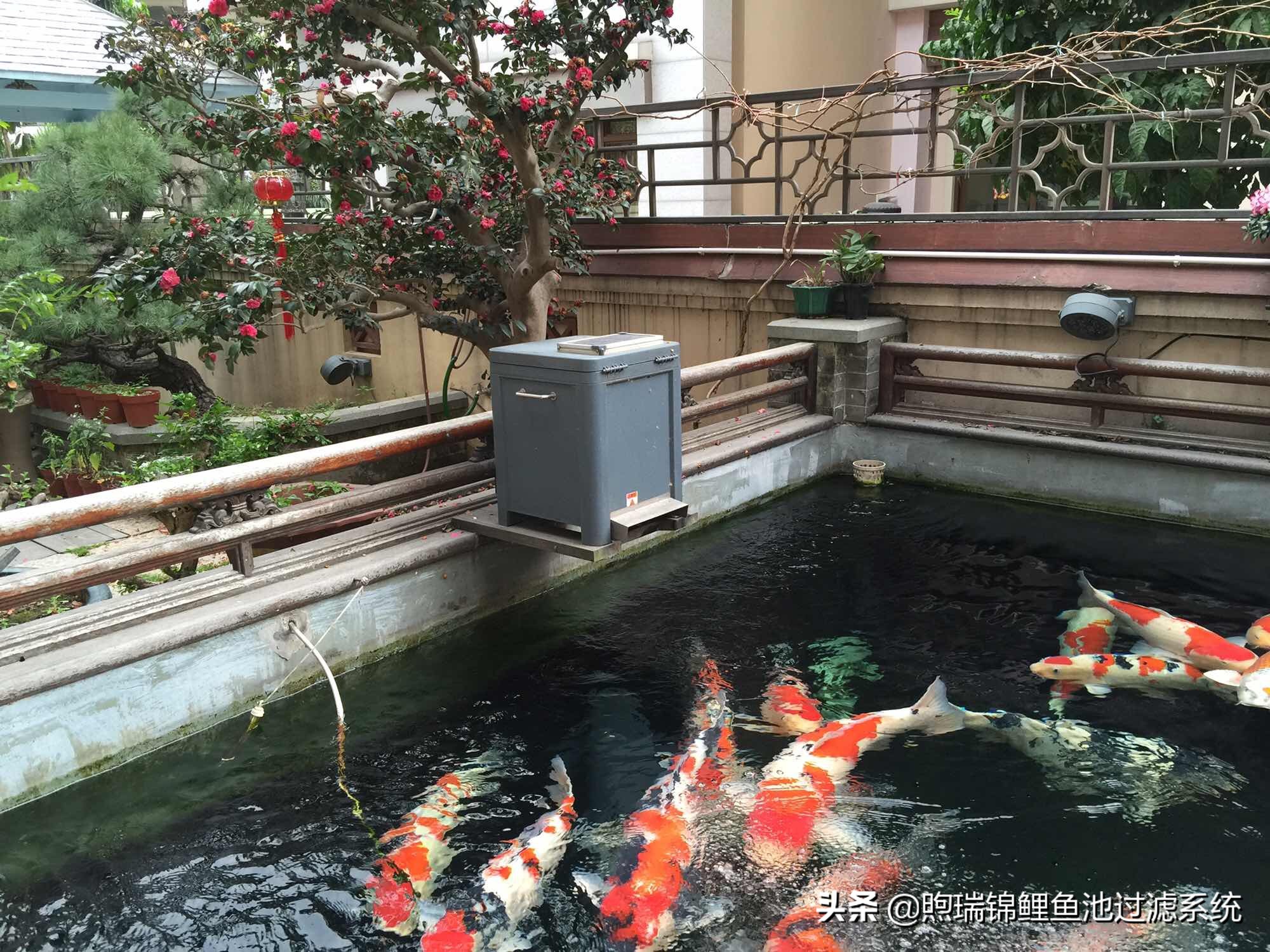 一个强大的过滤系统,一个过滤系统带多个鱼缸