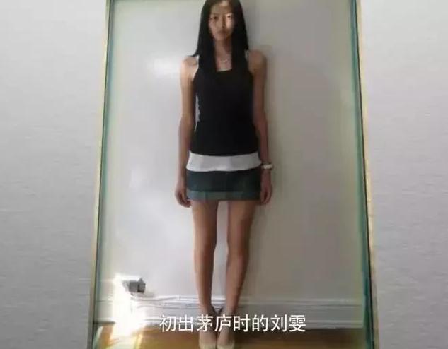 刘雯的经历,刘雯经历