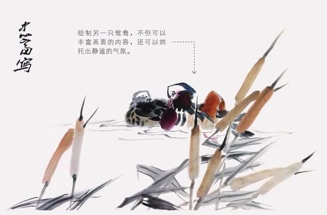 国画怎么把鸟画的活灵活现,如何画鸟要好看