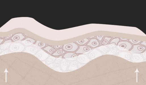 涂一次嫩一天，70年老国货里挖到的宝贝面霜，不停产就偷着笑吧