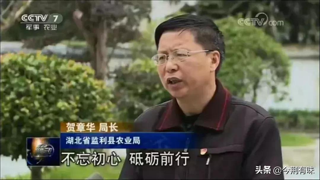 监利名字由来读音,监利原来叫什么