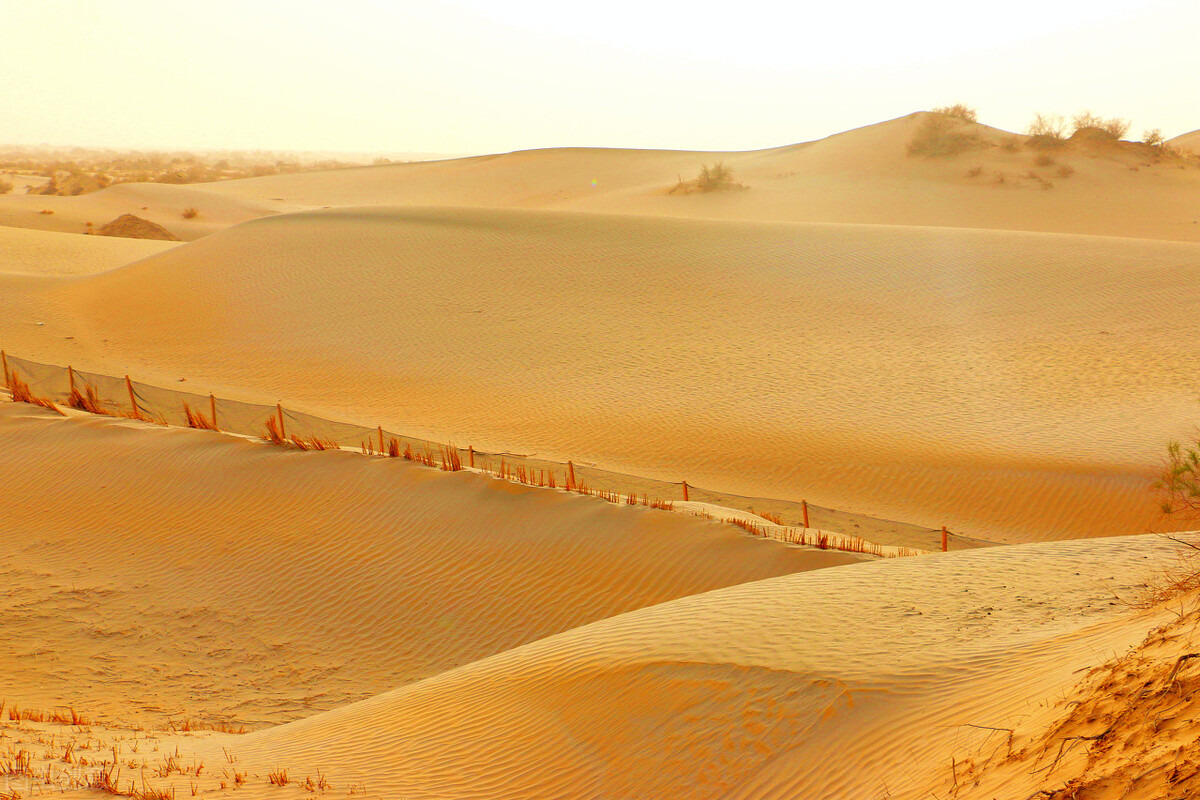 最大沙漠治理情况塔克拉玛干,假如中国的沙漠全部消失