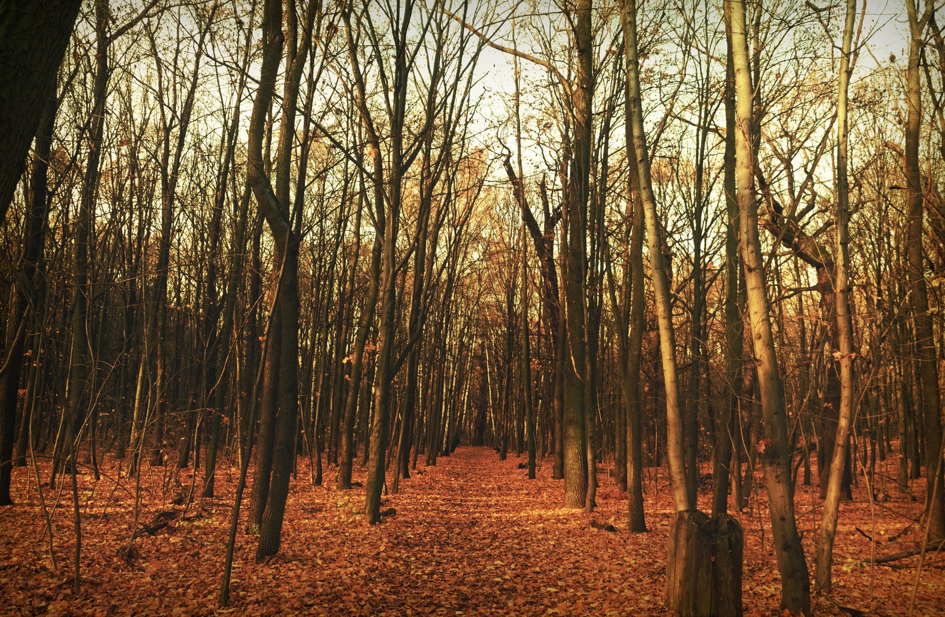 给迷失自我的人的忠告,在迷茫的生活中是如何走出来的