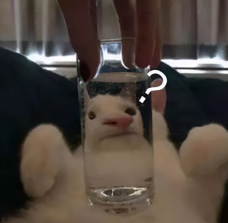 英雄联盟日服多少人在玩,怎么把英雄联盟日服设置成中文