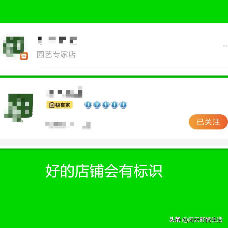 网购花卉避坑指南,网购花卉注意事项