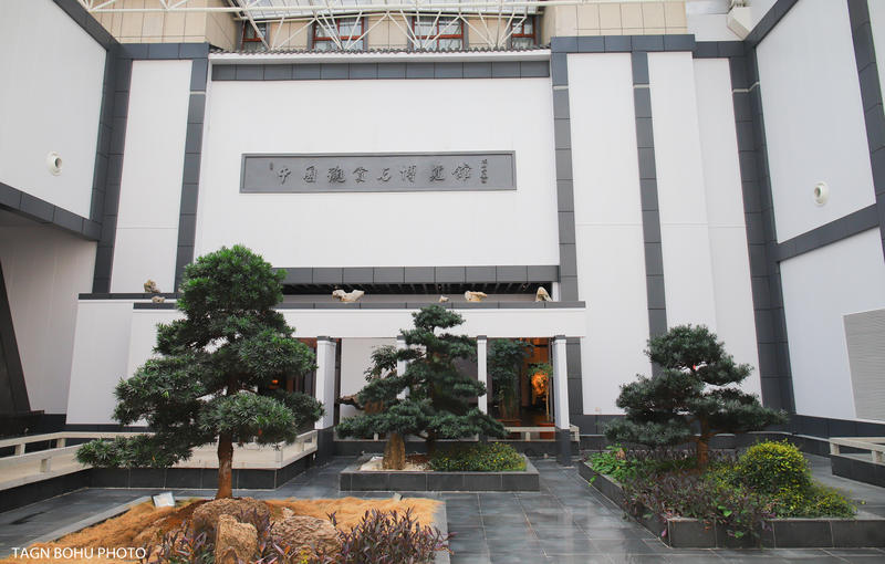 衢州飞越丛林探险乐园,浙江衢州深山