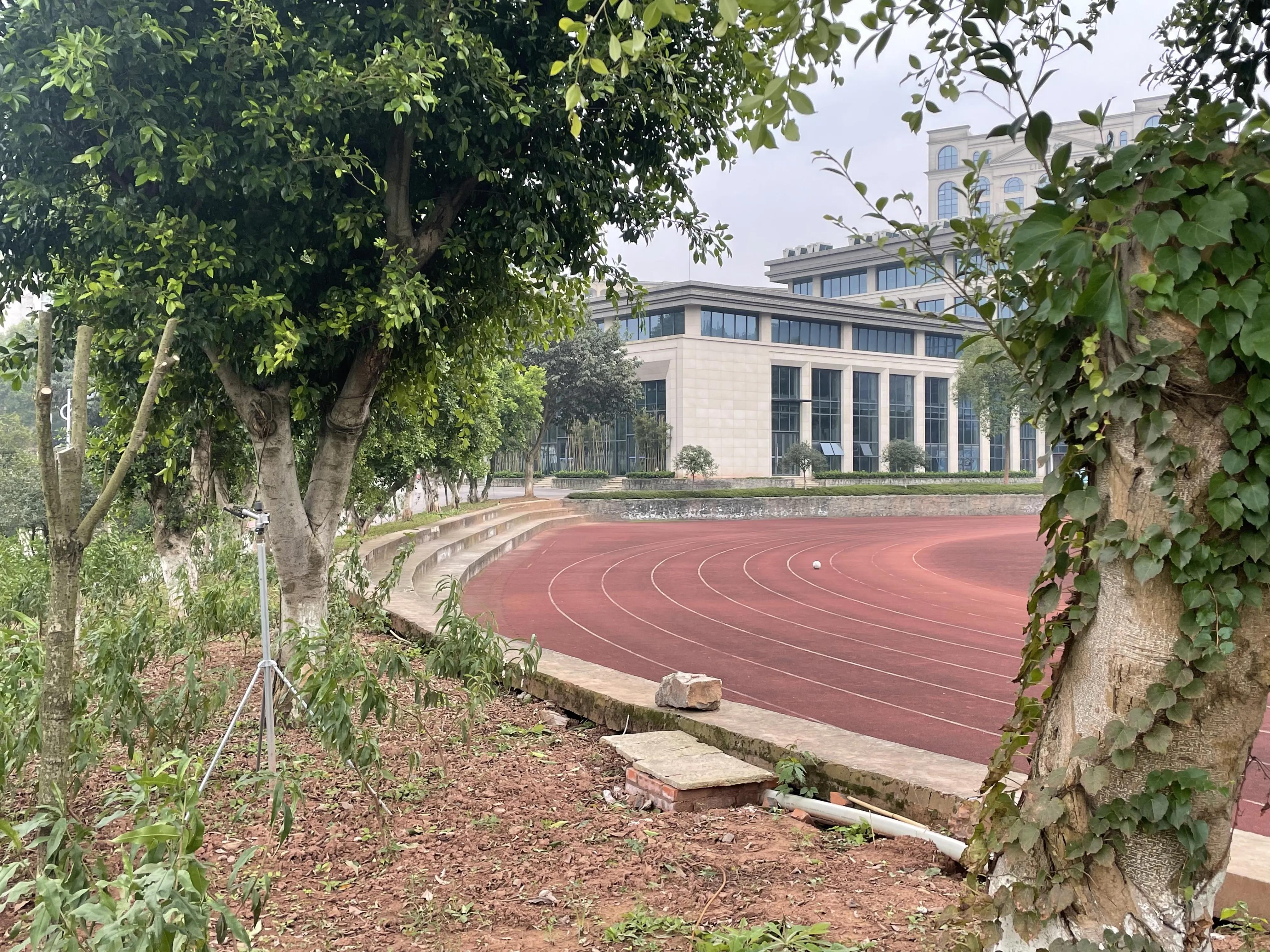 大学毕业后该怎么办,大学生毕业后预备党员转正怎么办