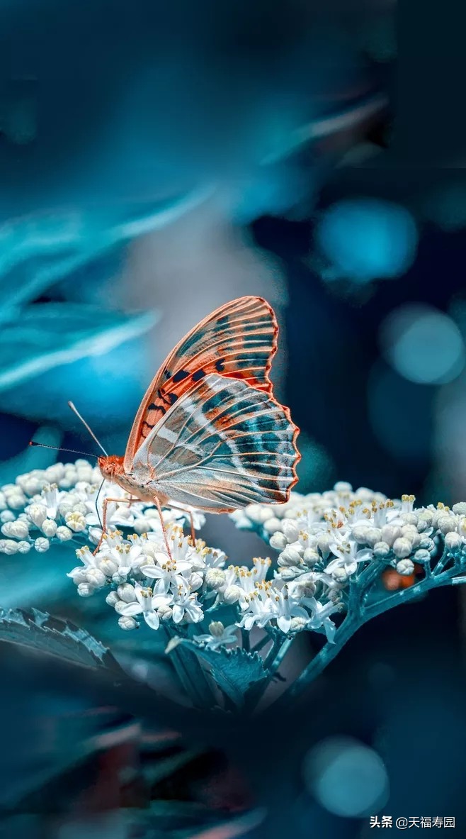 亲人即将病逝我能做些什么,亲人去世后应该做些什么