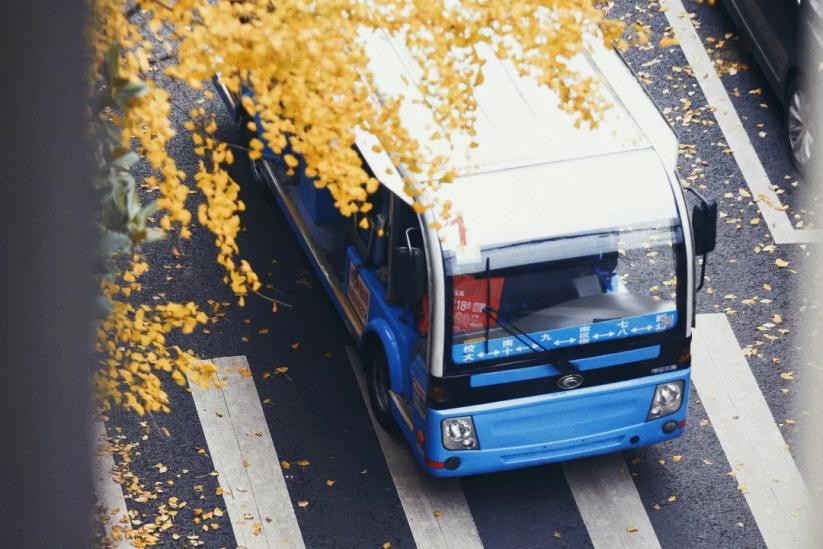 重庆财经类大学有哪些,重庆前十财经学院