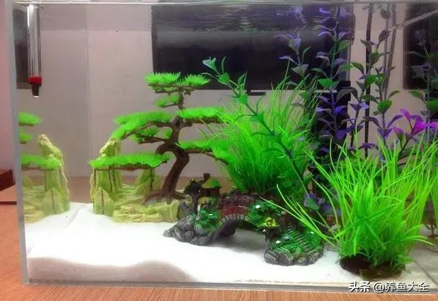 鱼缸水草烂根的处理方法,鱼缸水草烂根怎么修剪