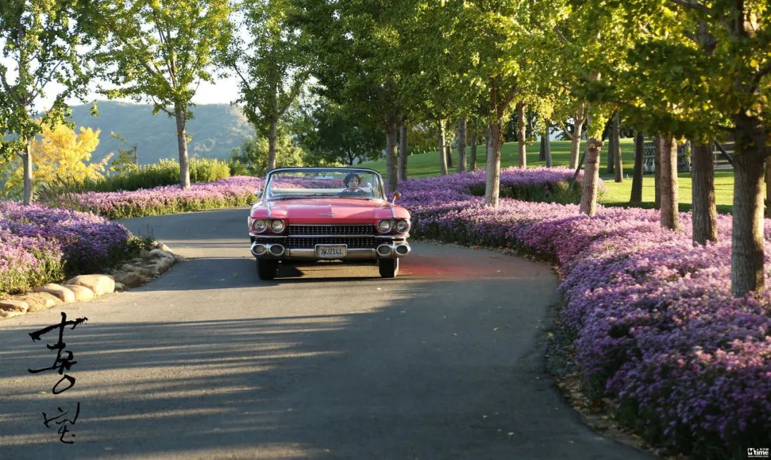 郭采洁喜宝郭敬明,郭采洁谈郭敬明奢侈品