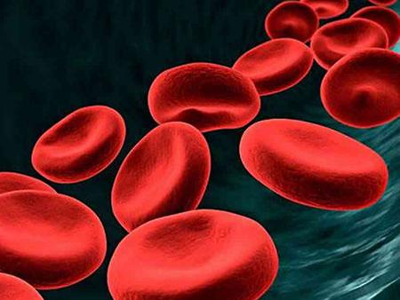 婴儿小黄人怎么处理,家有小黄蚂蚁怎么解决