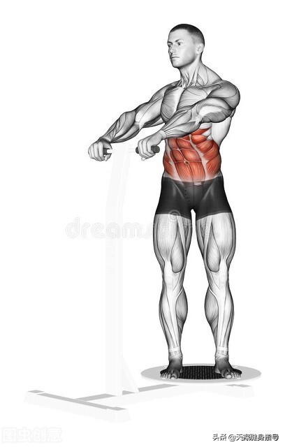 涨知识一招教你秒懂,涨知识减肥操