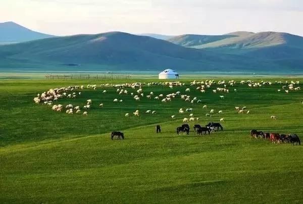 张北最美的景区是哪里,最美的草原自驾游路线攻略