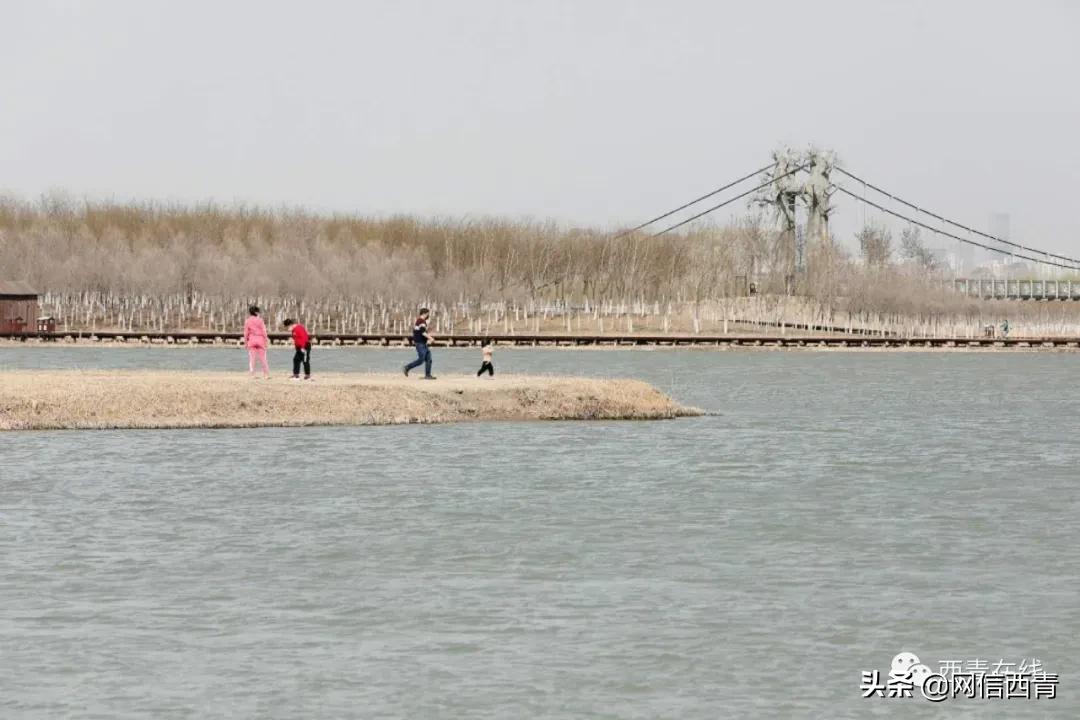 天津12座公园建成开放,2020天津已开放的郊野公园