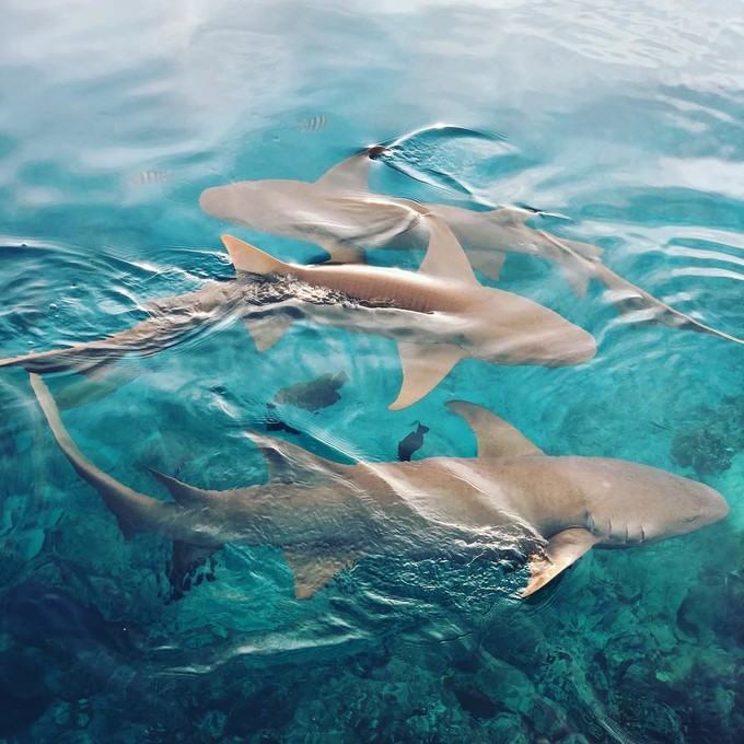 铂爵旅拍婚纱照9套衣服多少钱,去马尔代夫拍婚纱照要多少钱