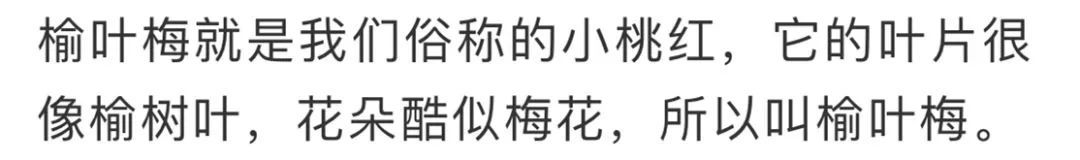 看到花的时候，不知是什么花？那就收下这份百花图谱