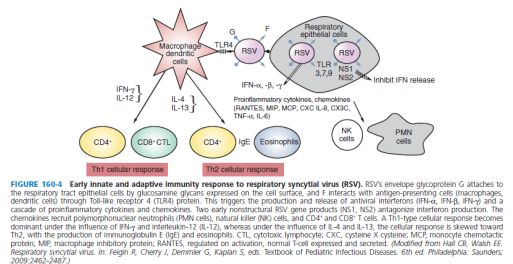 流感病毒筛查怎么做,流感病毒科普与防护小知识
