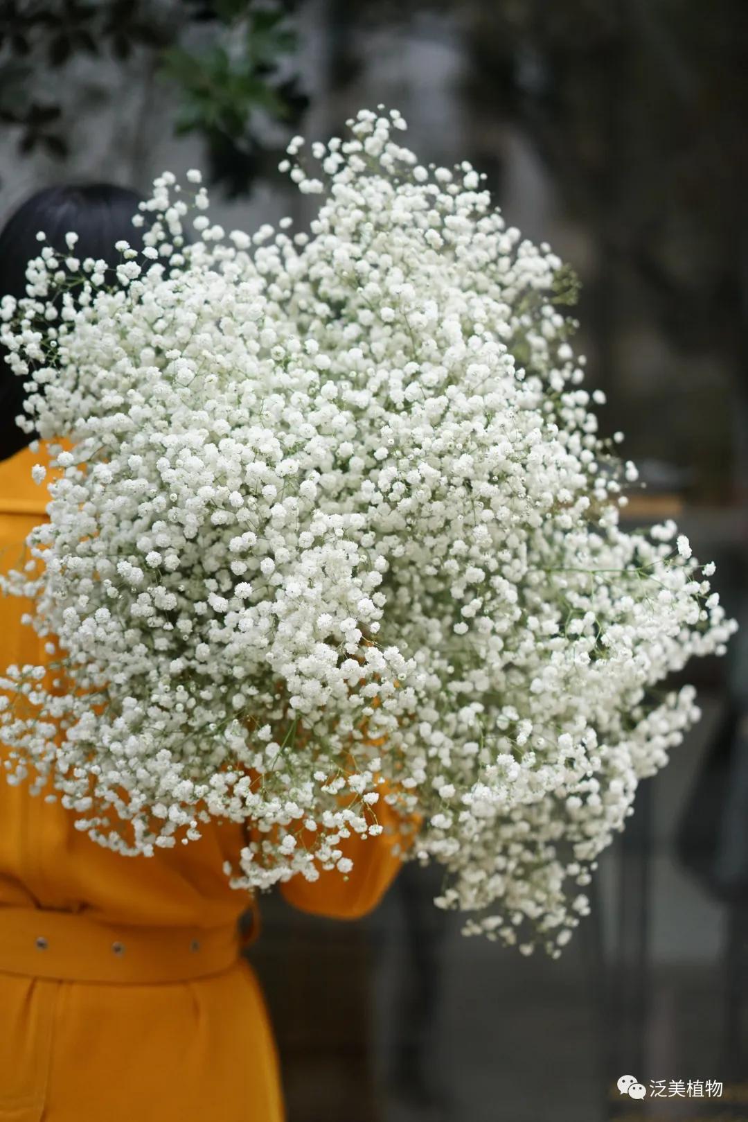 520向你心爱的人表白,好想和你表白