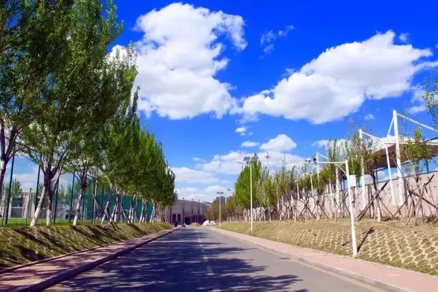 辽宁中医药大学杏林学院有独卫吗,辽宁中医药大学杏林学院属于3+2吗