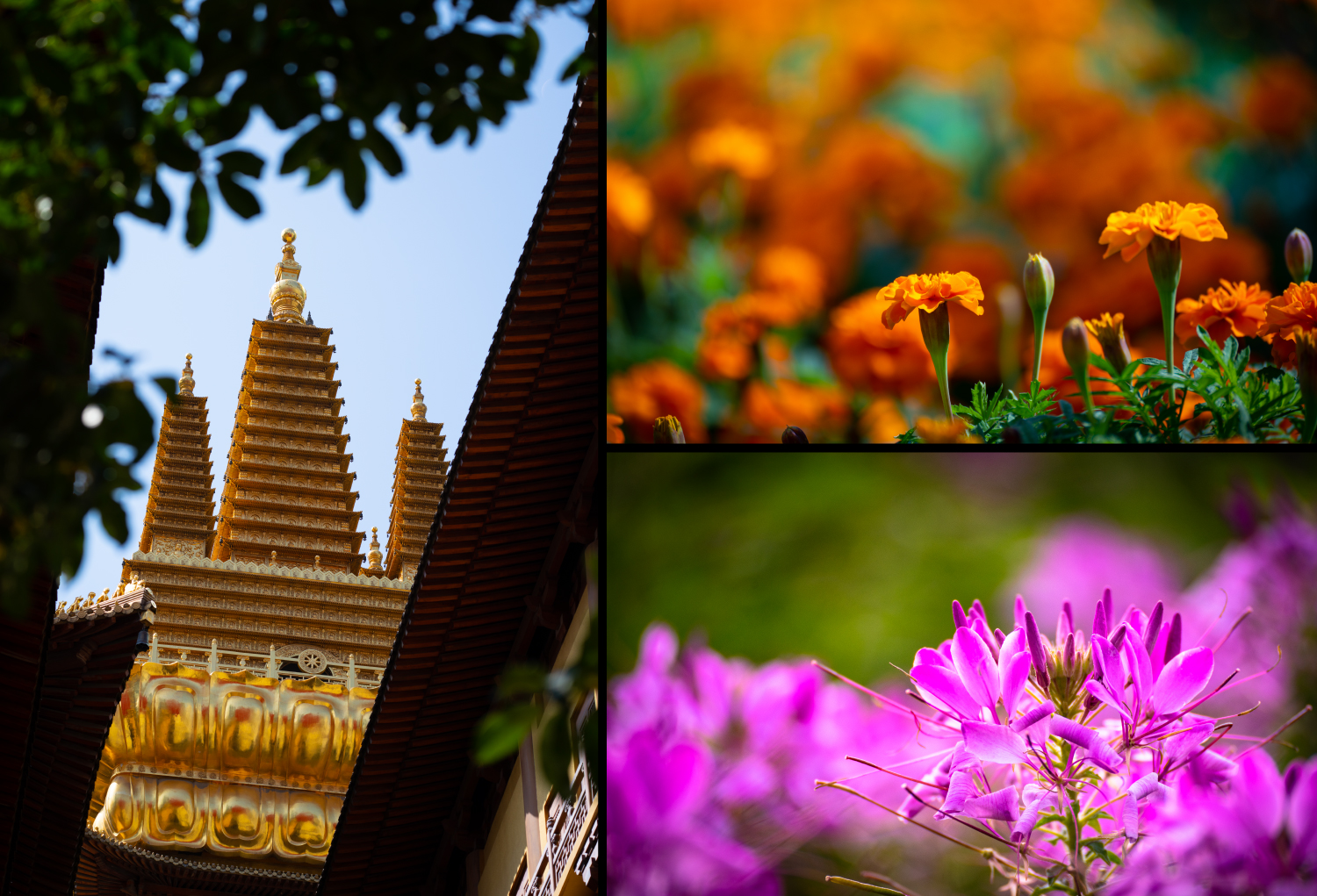 全画幅腾龙70-300,腾龙70-300e卡口