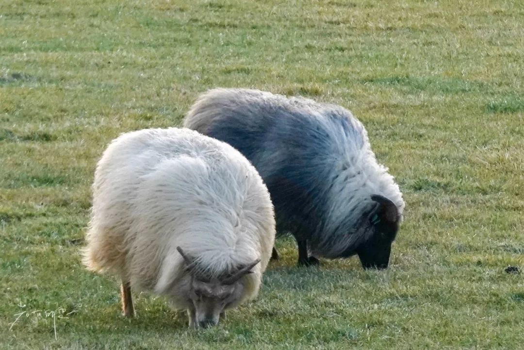 欧洲物价哪个国家最便宜,欧洲物价为什么这么贵
