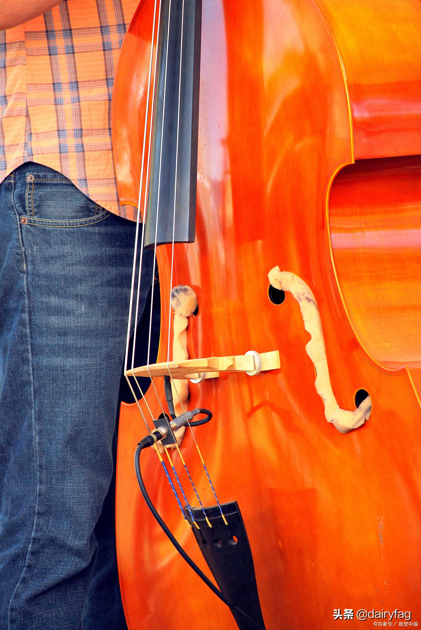 免费无损音乐欣赏,高品质无损音乐免费下载网站