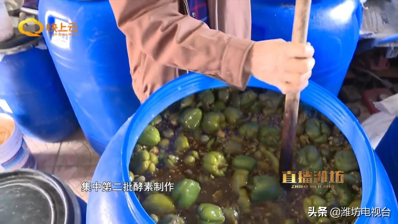 自制酵素真的这么神奇吗,环保酵素怎么改良土壤