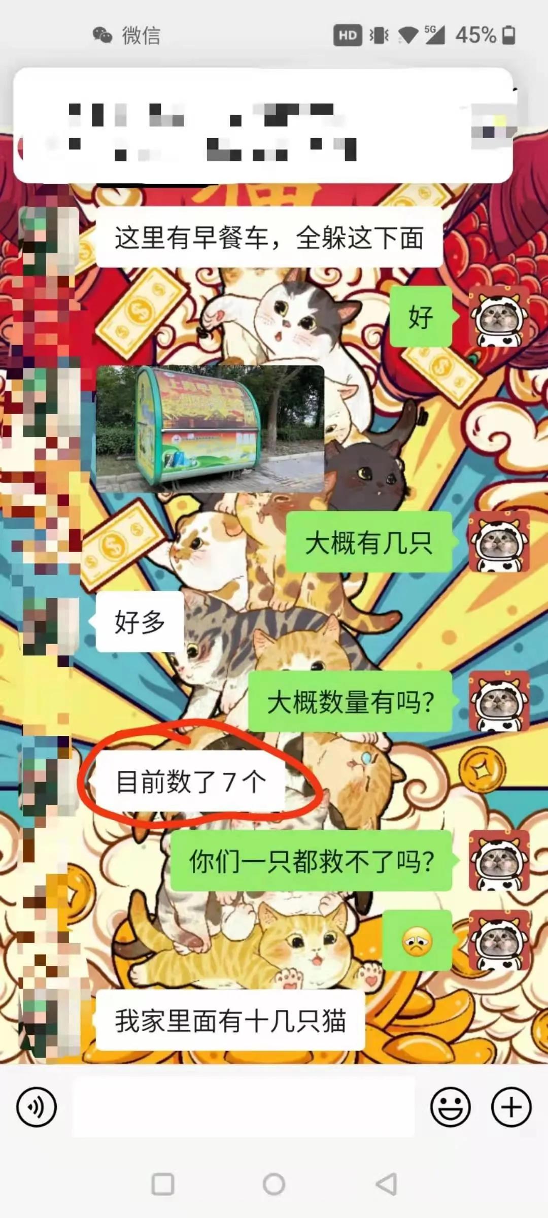 上海猫贩子扔出几十只病重品种猫,上海后院猫舍丢弃50多只病猫