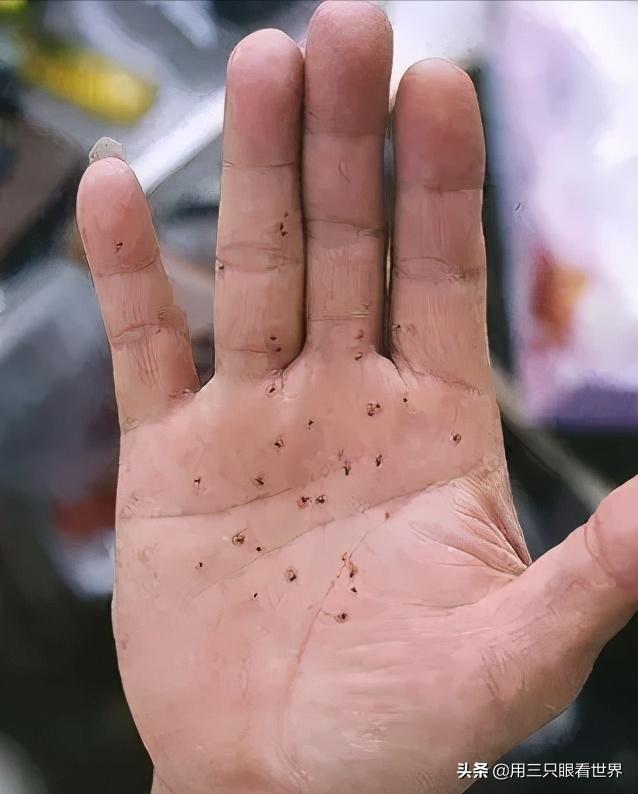 知青难忘的岁月,知青难忘的回忆故事