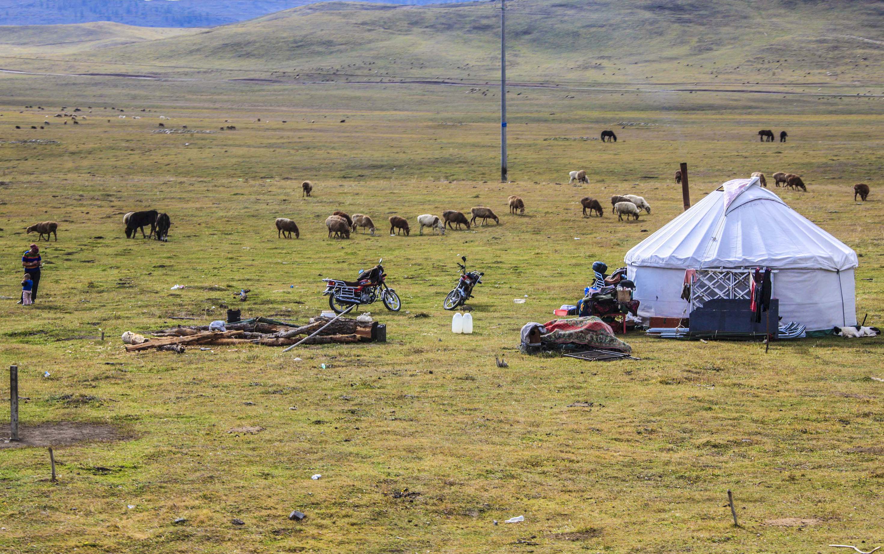 绮丽的原生态牧场,秀美善良的哈萨克姑娘,我的*疆新**南山牧场艳遇