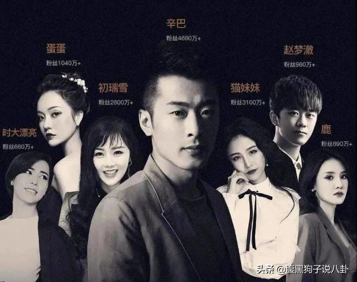 辛巴是虚假宣传还是夸大宣传,辛巴虚假宣传处罚