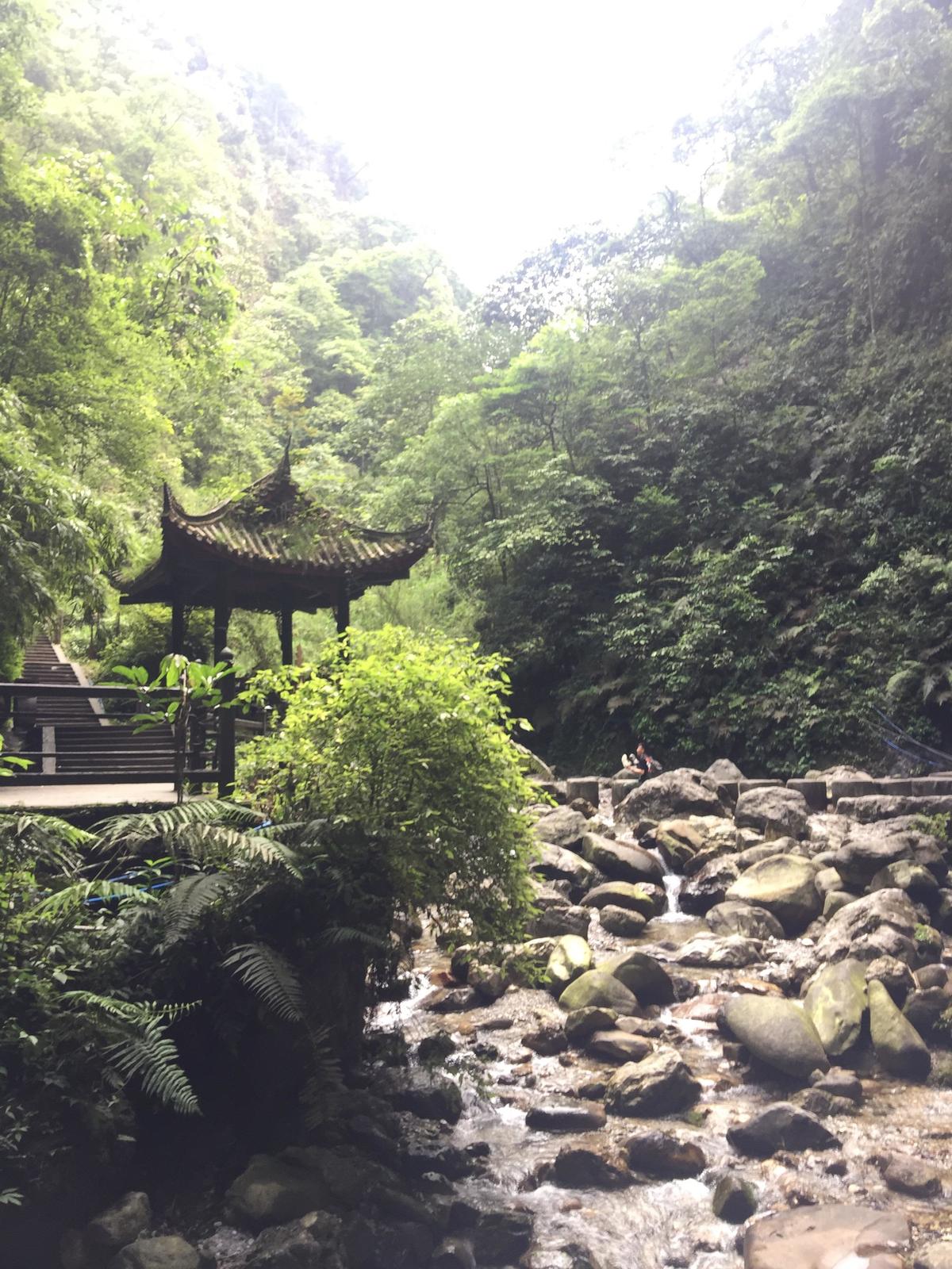 峨眉山登顶佛像,峨眉山登顶记完整版