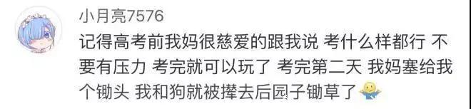 爸爸写给儿子的一封信好好学习 (一封爸爸写给儿子的信值得深看)