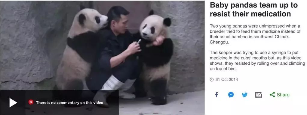 马来西亚为啥退换大熊猫,马来西亚退还中国大熊猫是真的吗