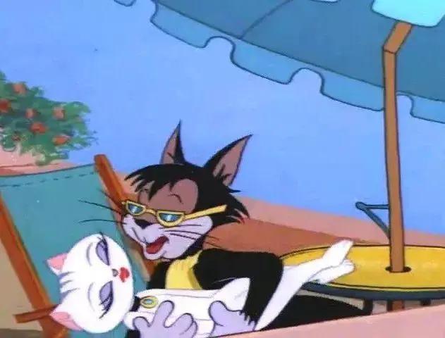 二十年后的汤姆猫,许多年后汤姆猫