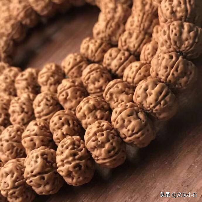 金刚菩提入门知识，新手必备，掌握了三言两语就能让别人刮目！