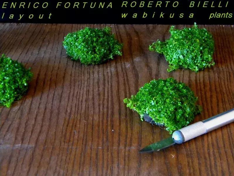 如何打造景观小缸,院子简易水景流水缸制作方法图片