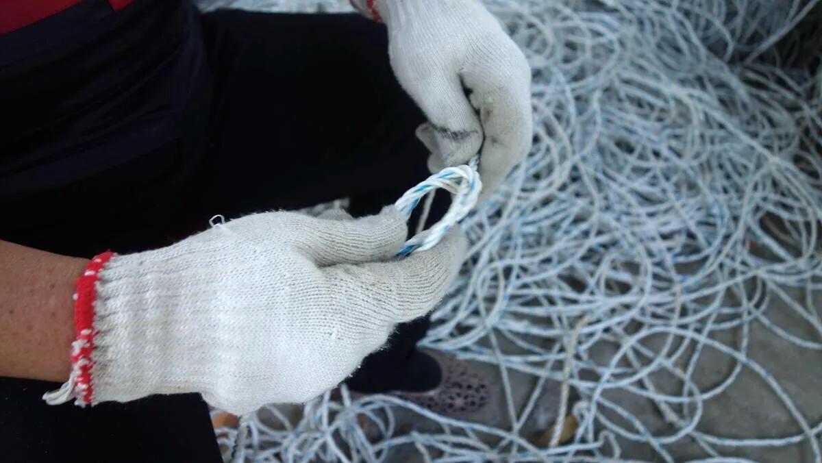 侨港边上的大、小老虎村，房租很低但住的人却很少，如今面临改造