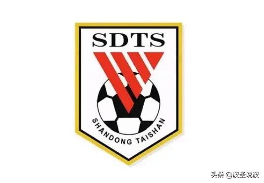 鲁能获得亚冠资格,鲁能亚冠资格被取消的原因